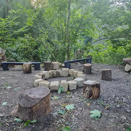 Salamandra * Kłodzko