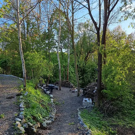 Апартаменты Salamandra