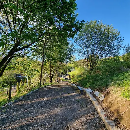 Salamandra * Kłodzko