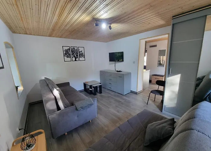 Salamandra Apartment *