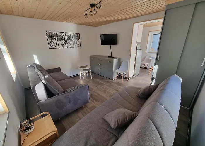 Apartment Salamandra