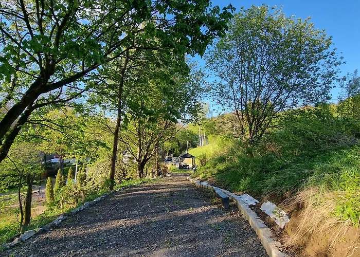 Salamandra * Klodzko