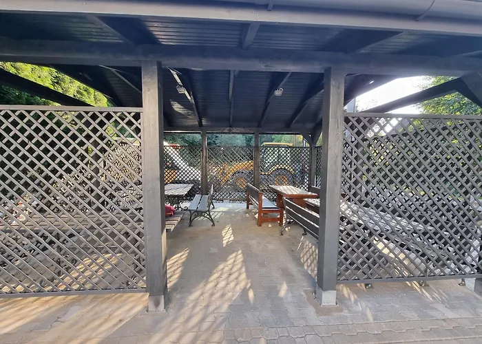 Salamandra * Klodzko